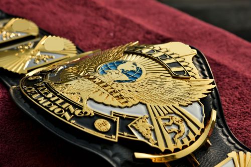 Winged Eagle Dual Plated HD Etched